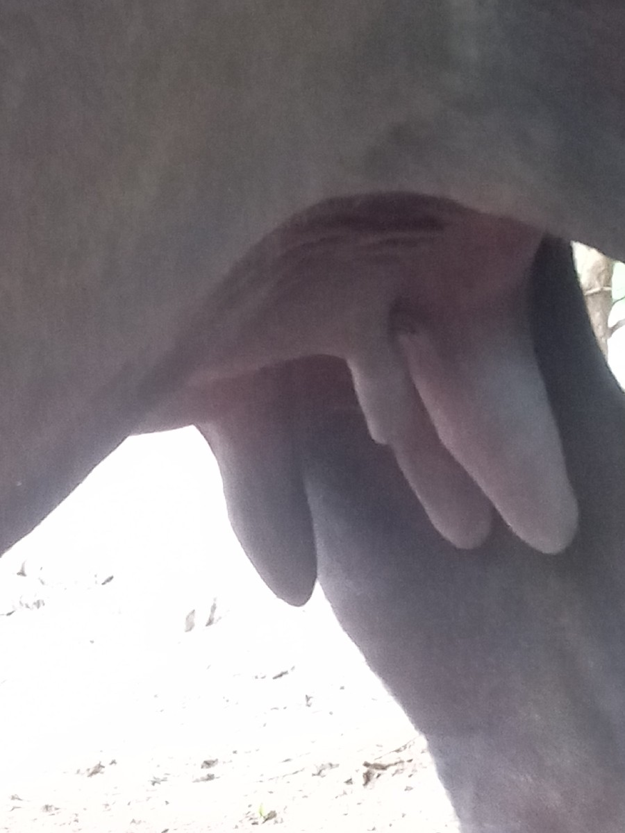 Post Image 3