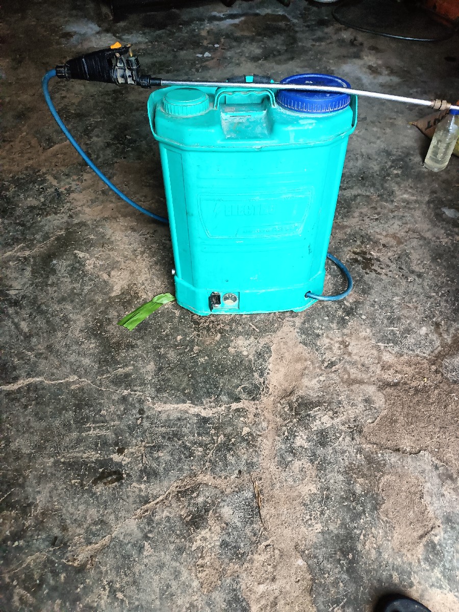 Post Image 3