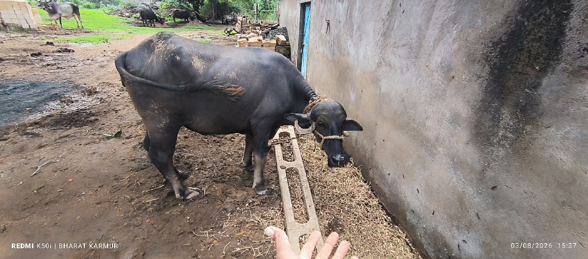 Post Image 2