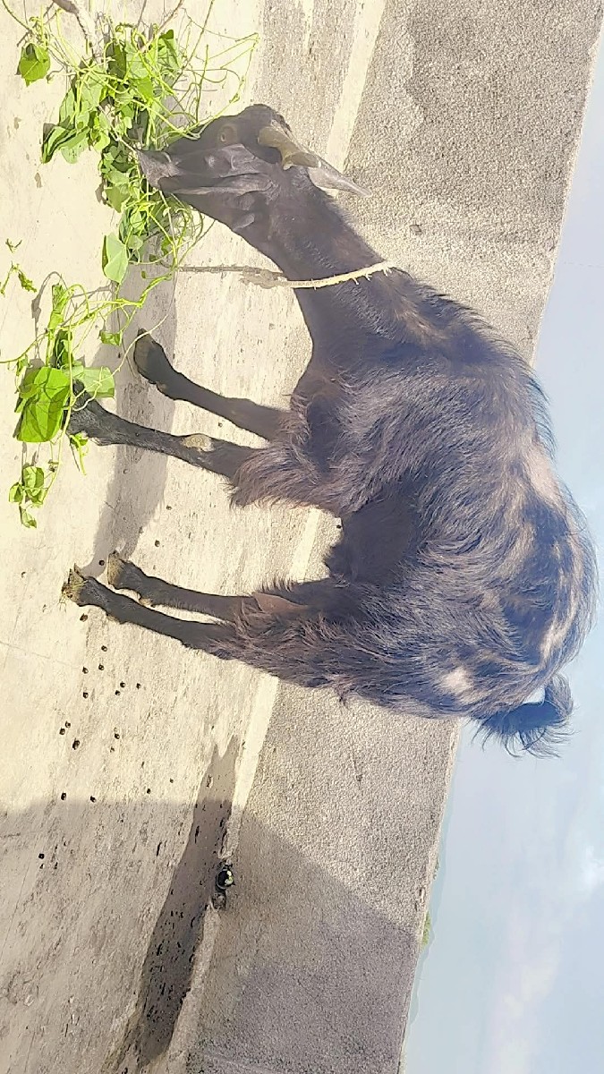Post Image 3