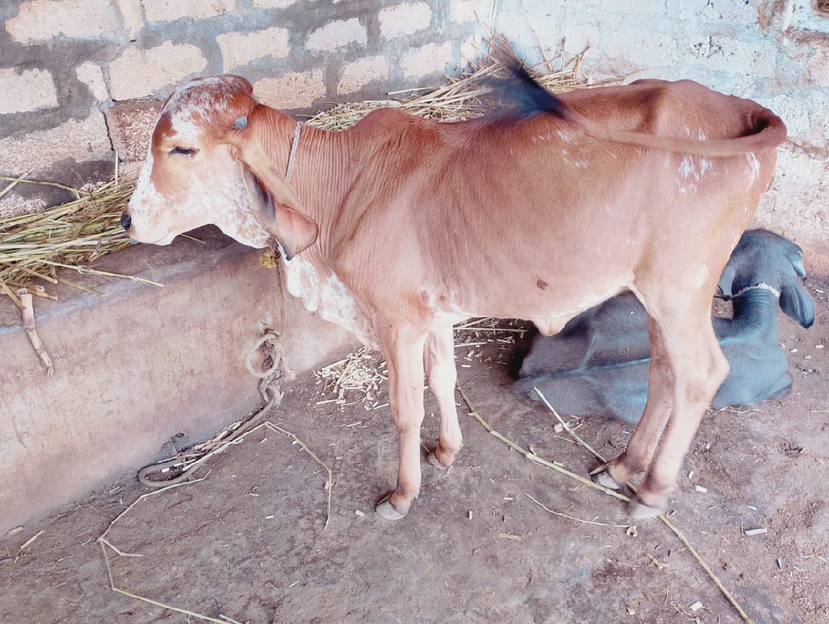 Post Image 2