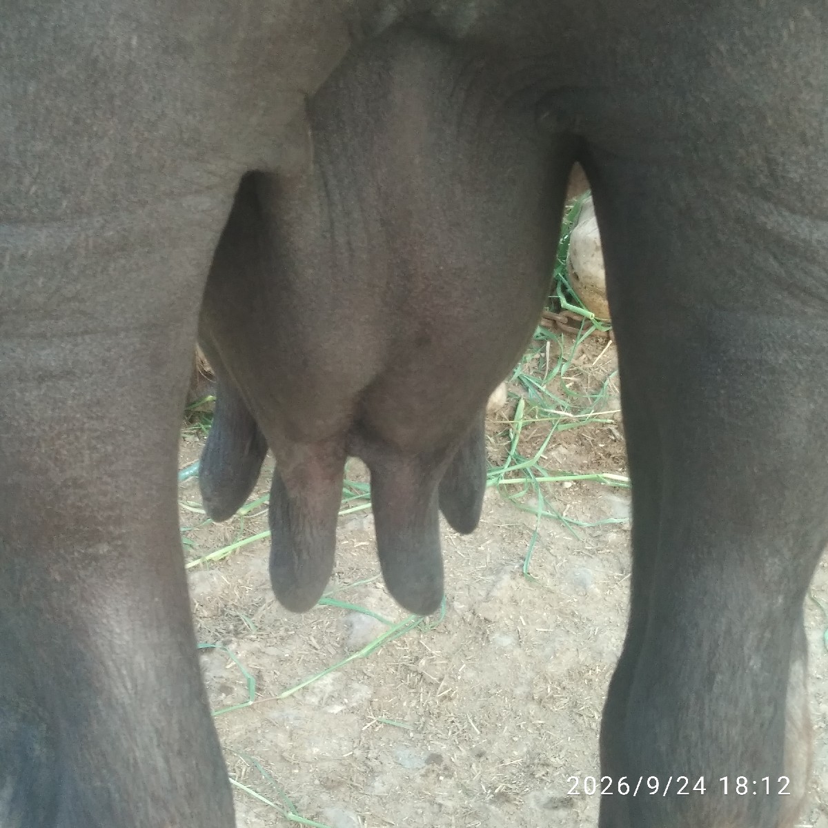 Post Image 3