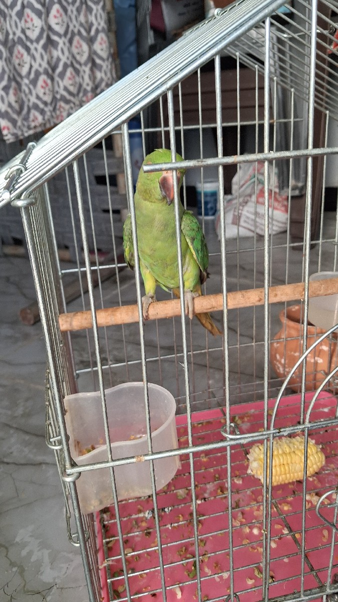 Post Image 2