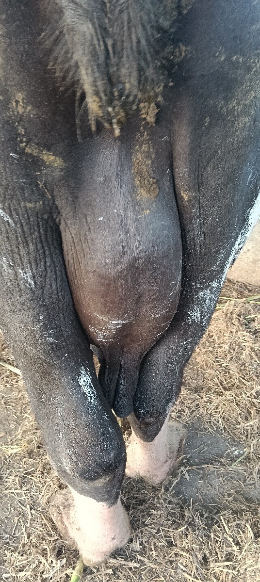 Post Image 5
