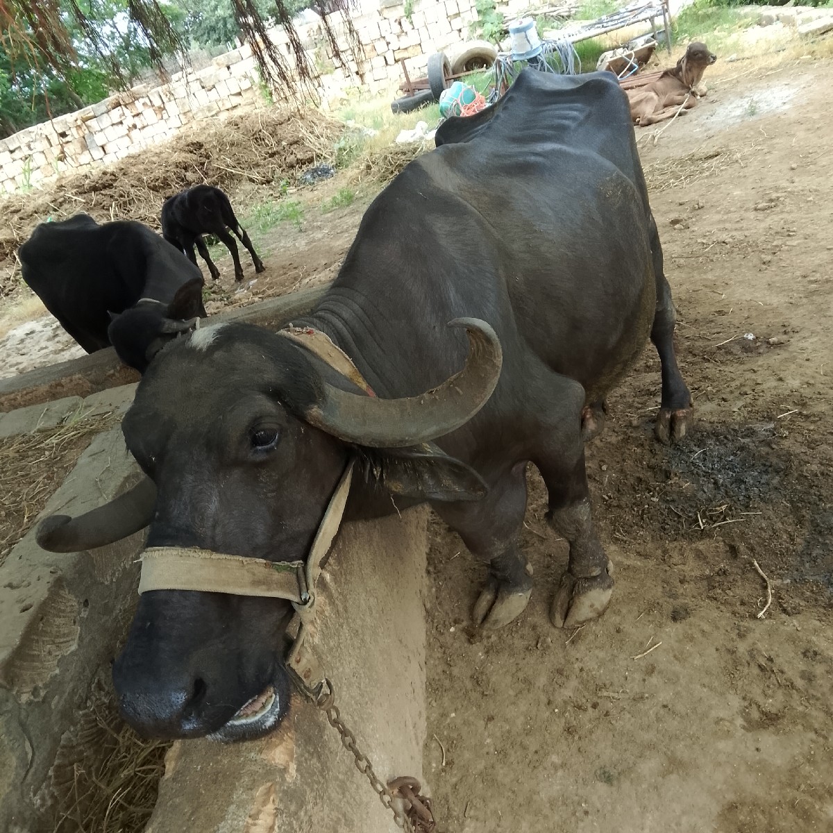 Post Image 2