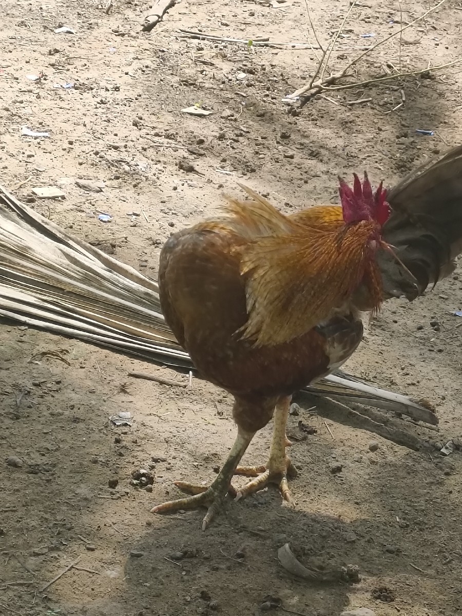 Post Image 2
