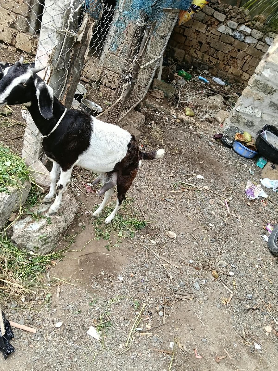 Post Image 2