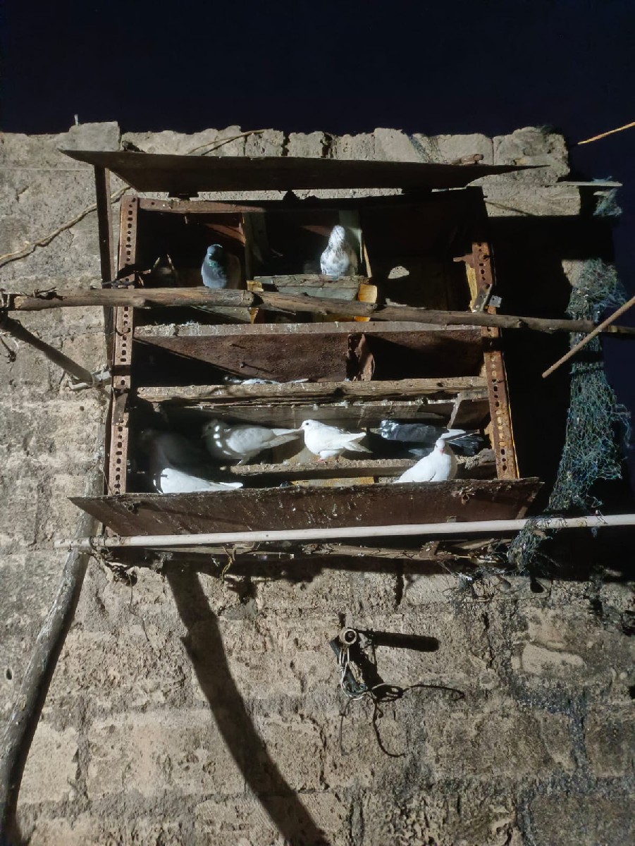 Post Image 2