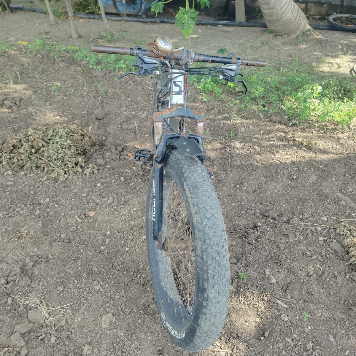 Post Image 2