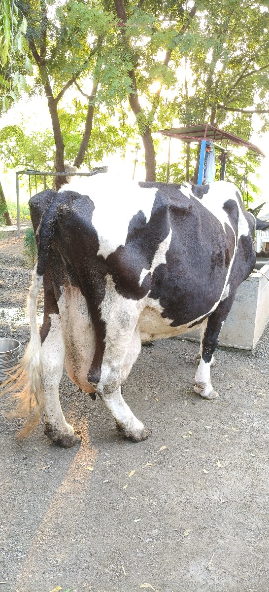 Post Image 2