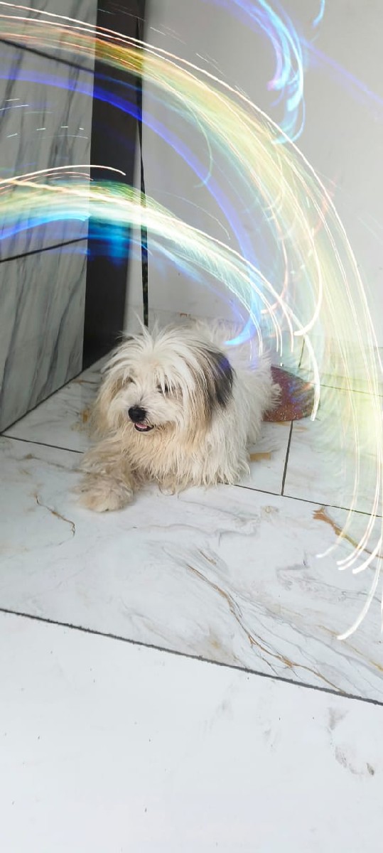 Post Image 2