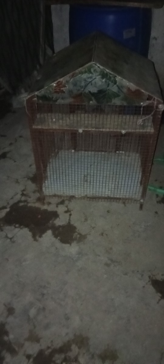 Post Image 2