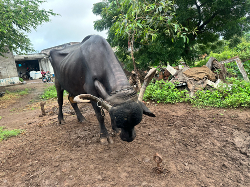 Post Image 2