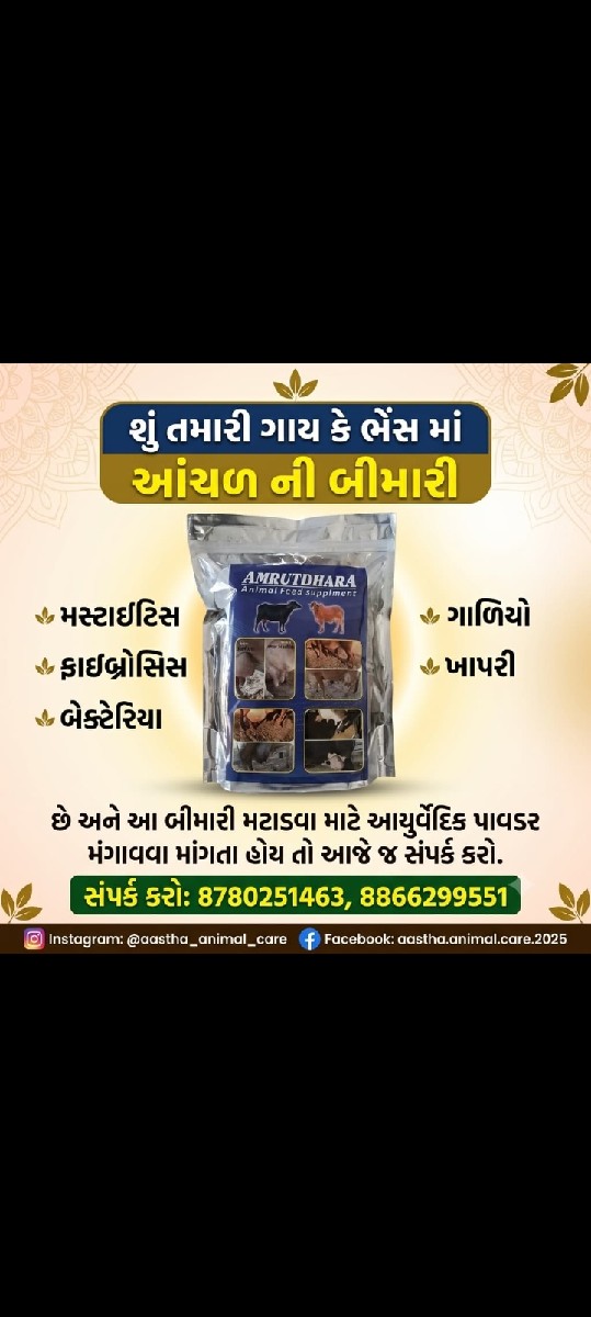 Post Image 3