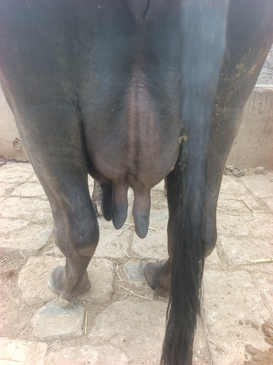 Post Image 6
