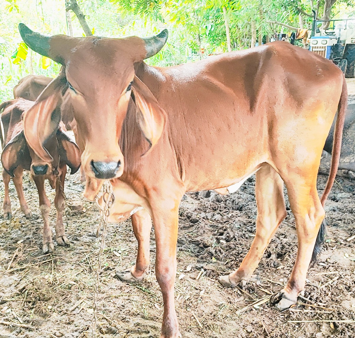 Post Image 3