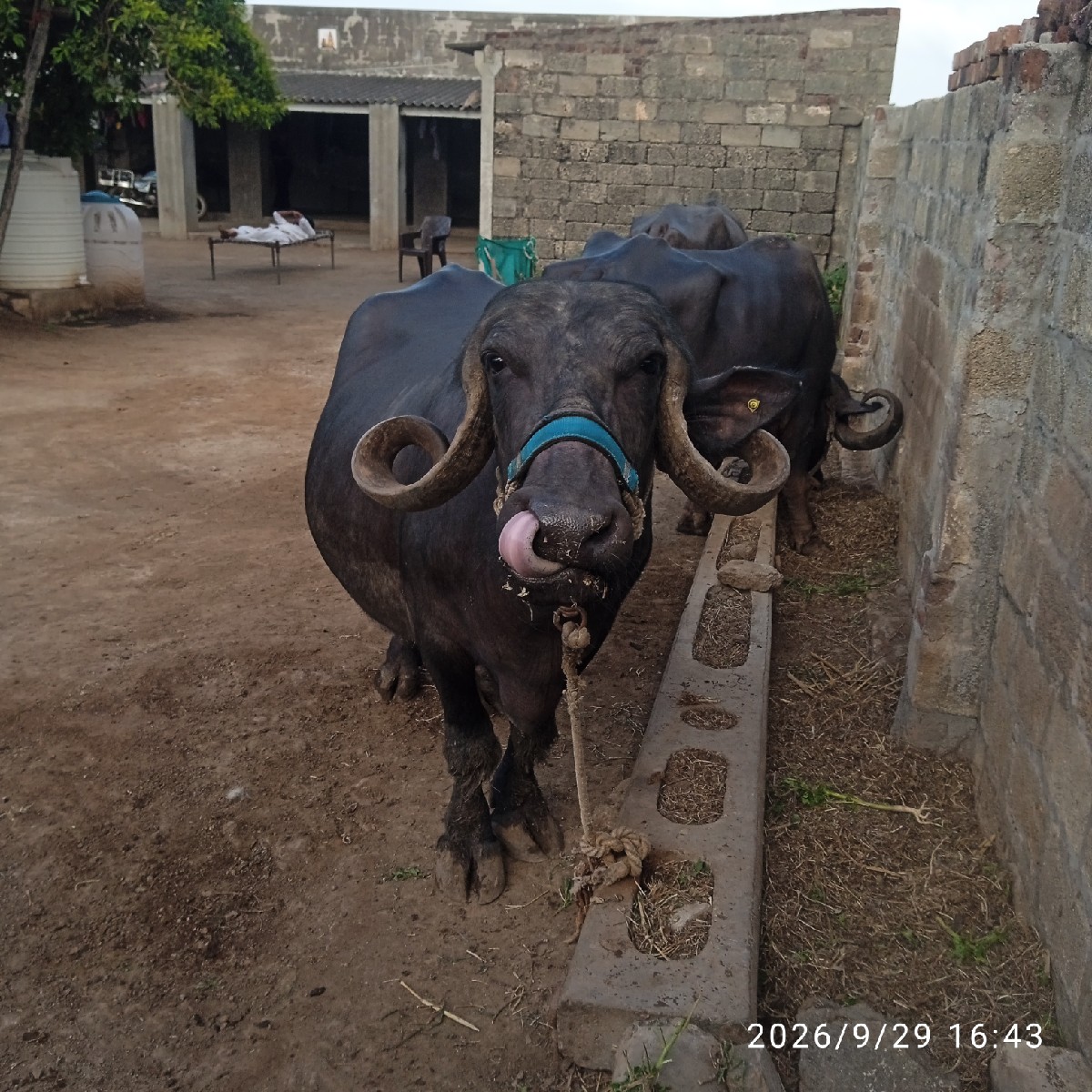 Post Image 2