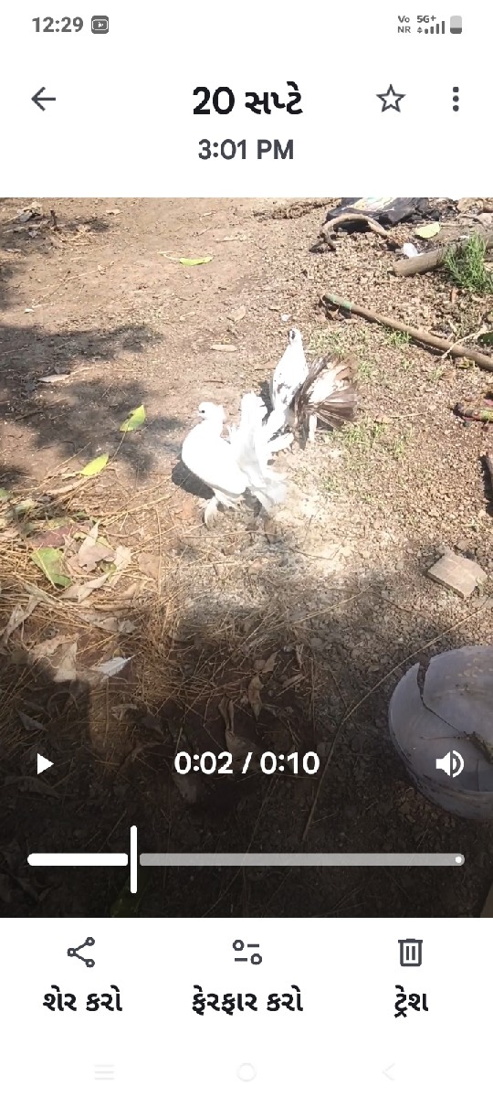 Post Image 2