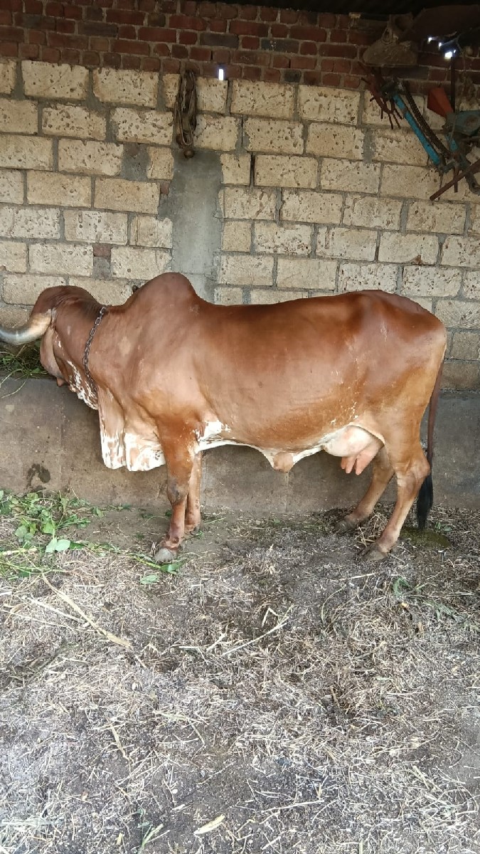 Post Image 2