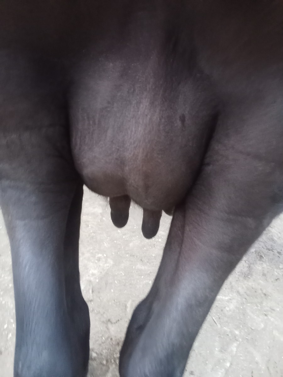Post Image 4