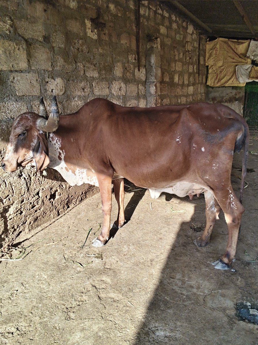 Post Image 2