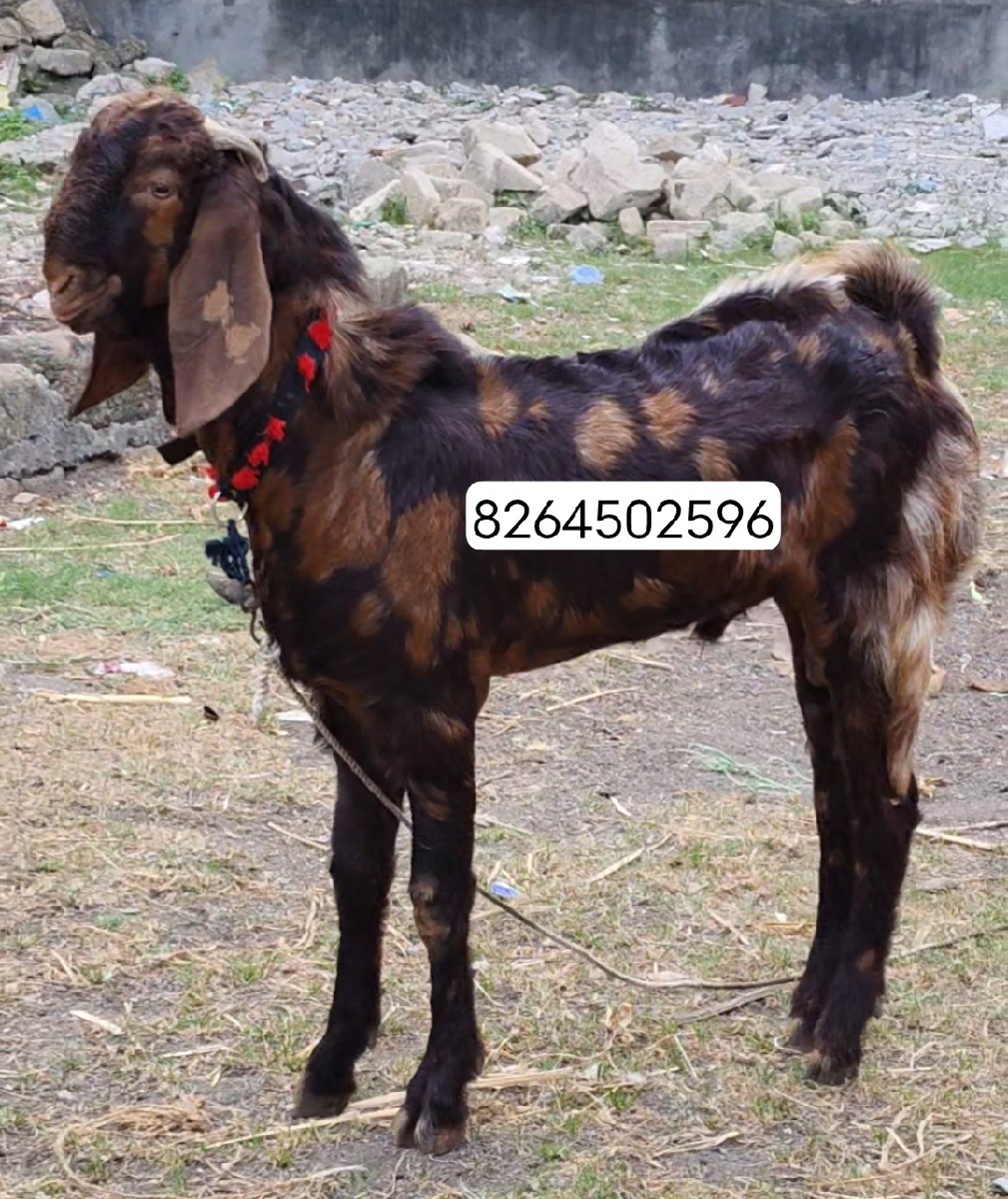 Post Image 2