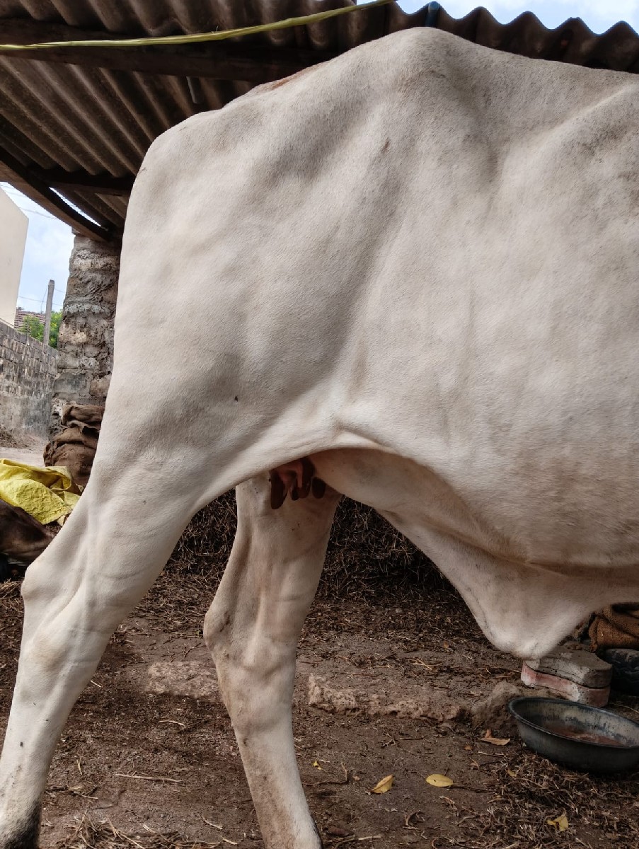 Post Image 2