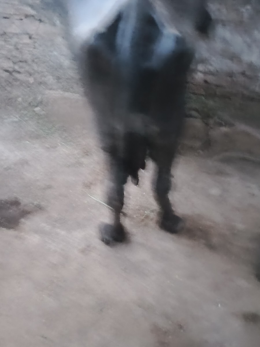 Post Image 3