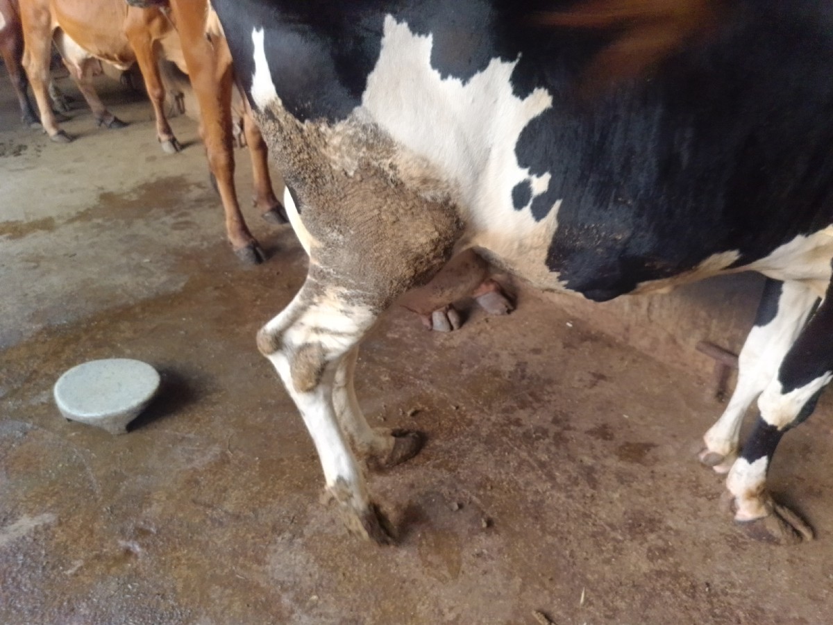 Post Image 1