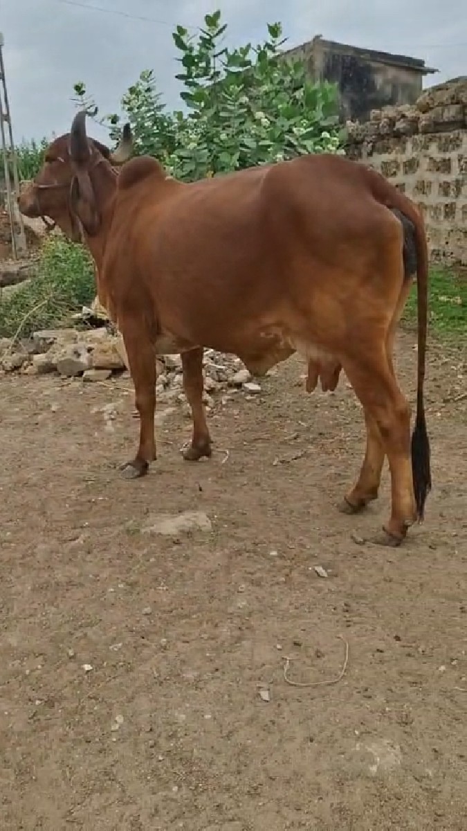 Post Image 2