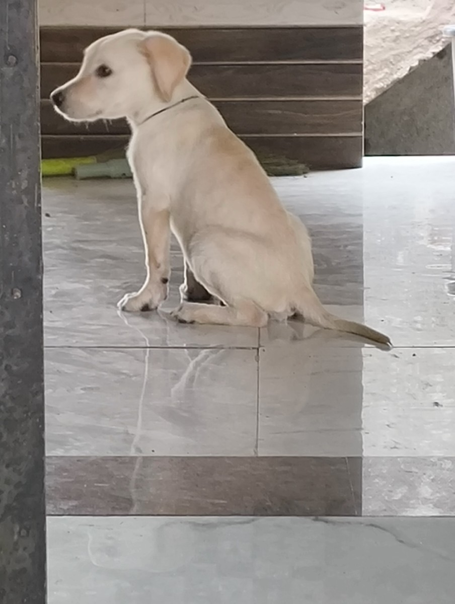 Post Image 2