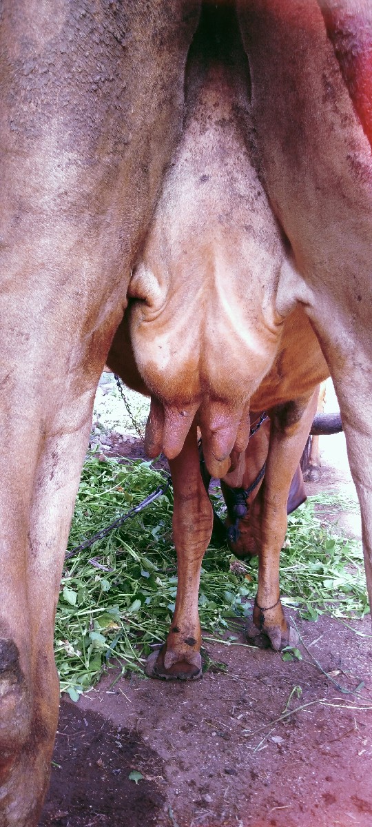 Post Image 2