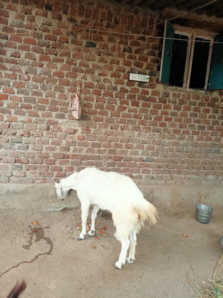 Post Image 2