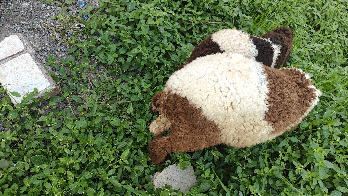 Post Image 2