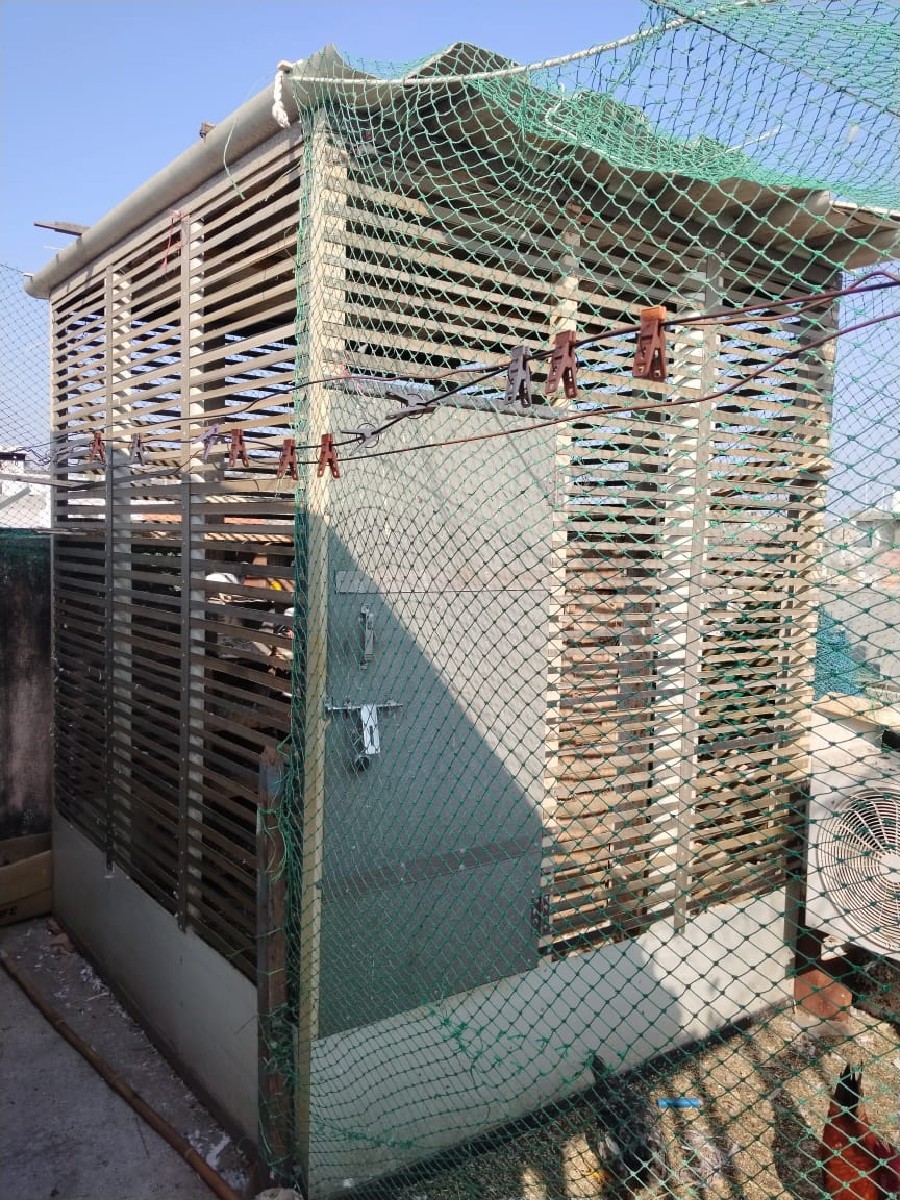 Post Image 3