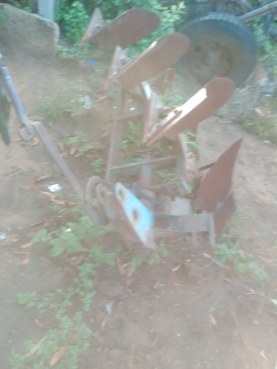 Post Image 2