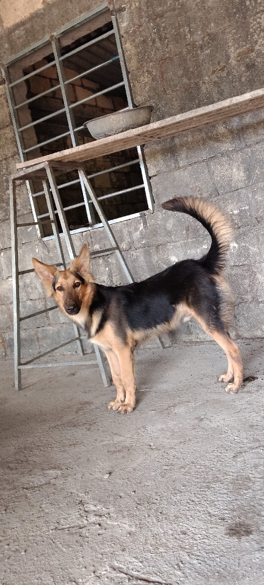 Post Image 1