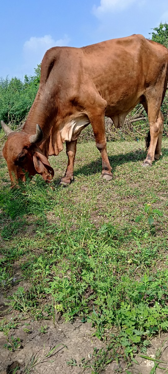 Post Image 3