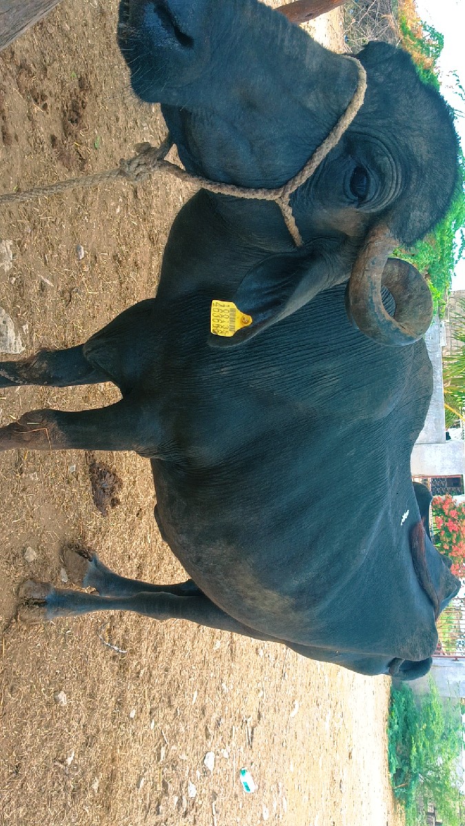 Post Image 3