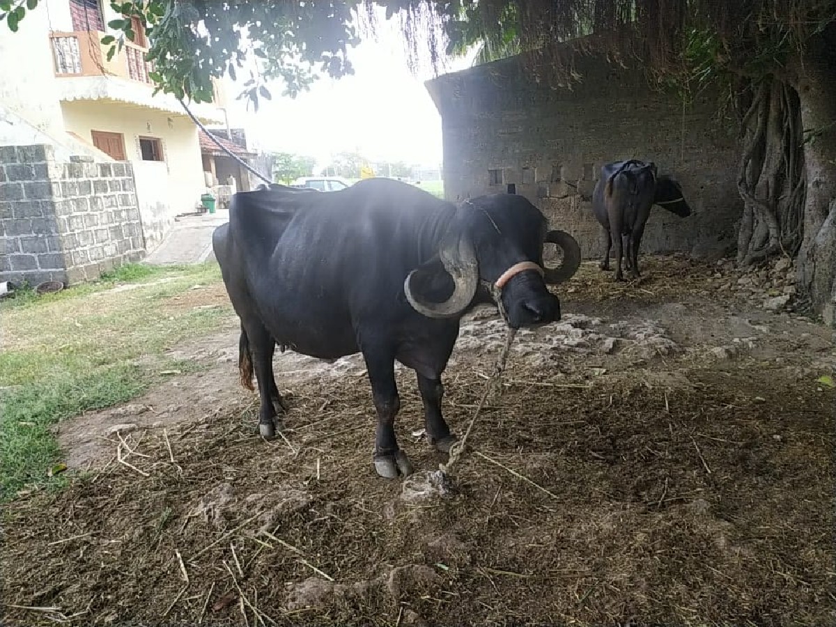 Post Image 3