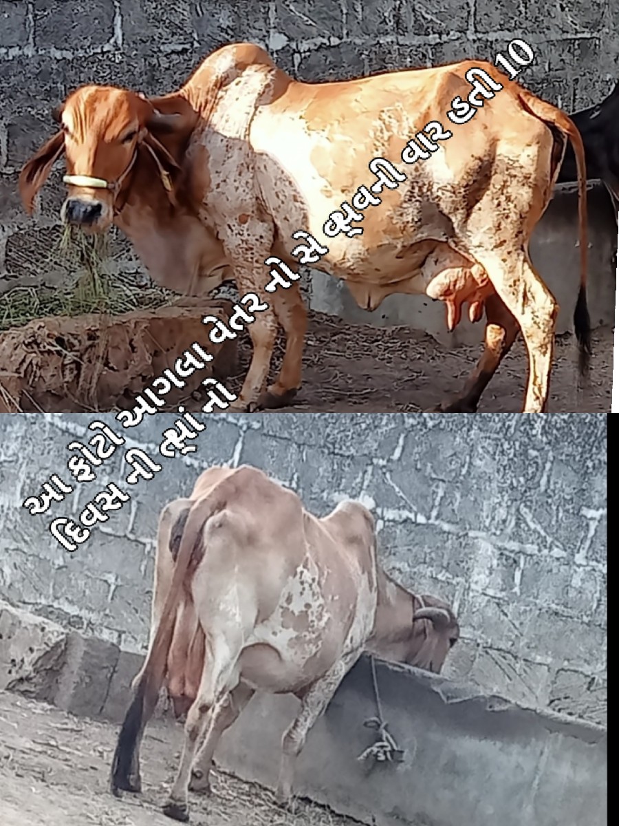 Post Image 3