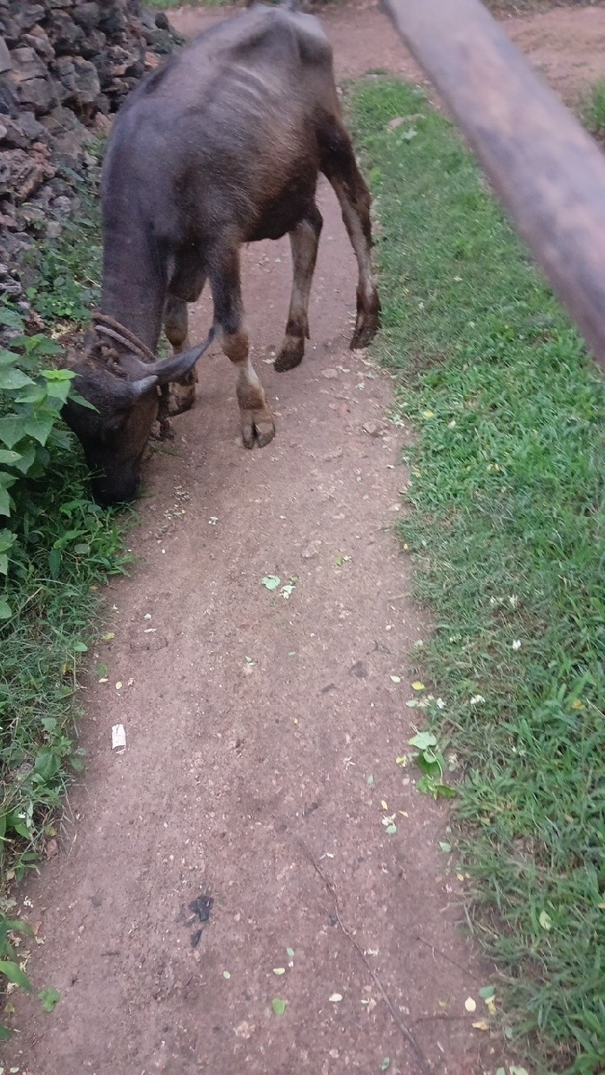Post Image 1