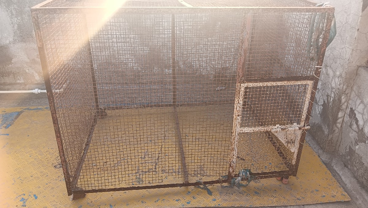 Post Image 2