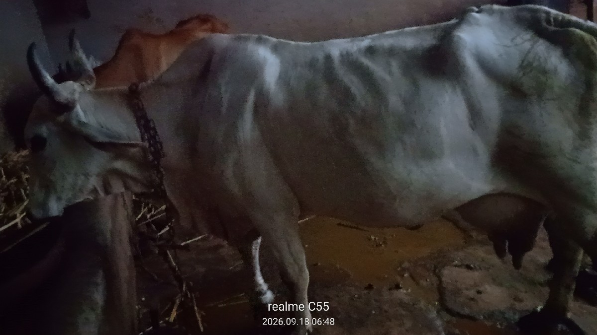 Post Image 2
