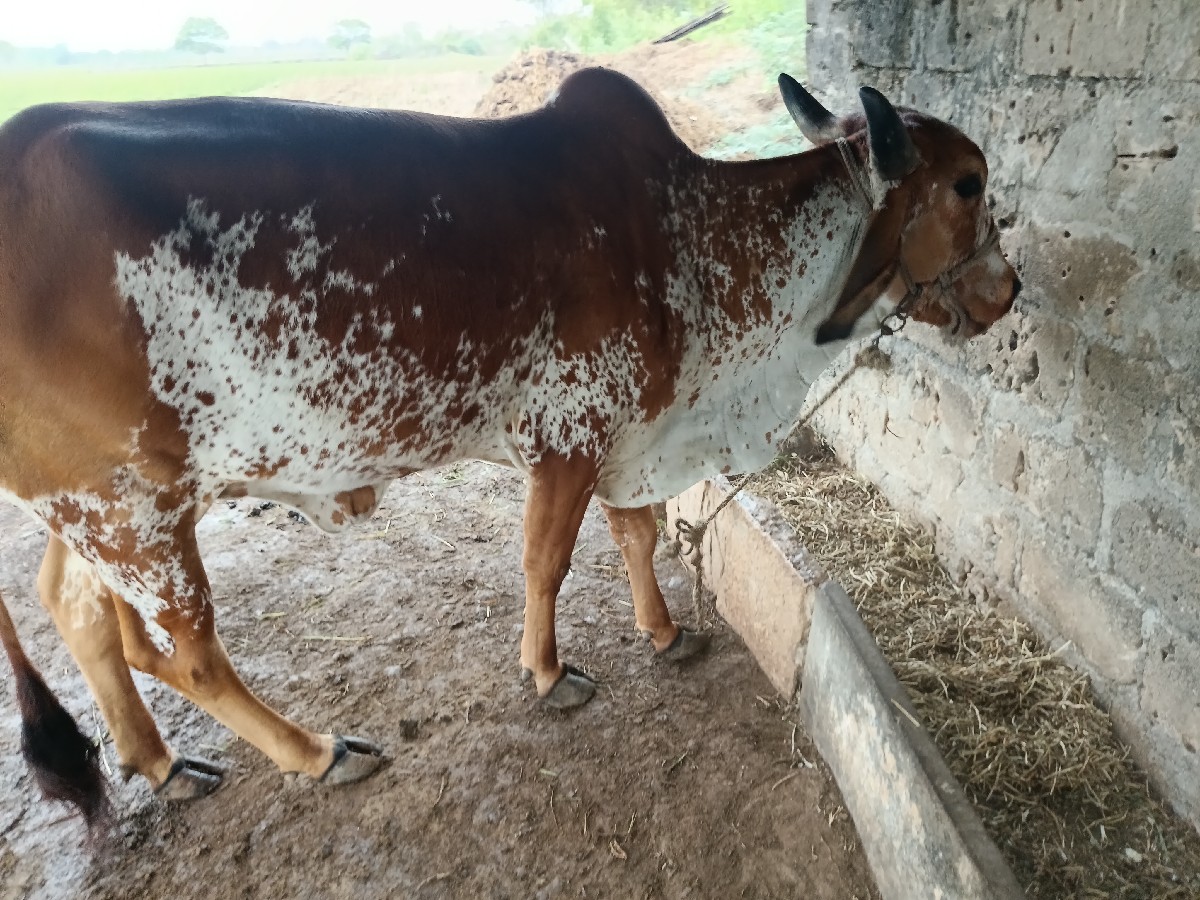 Post Image 2