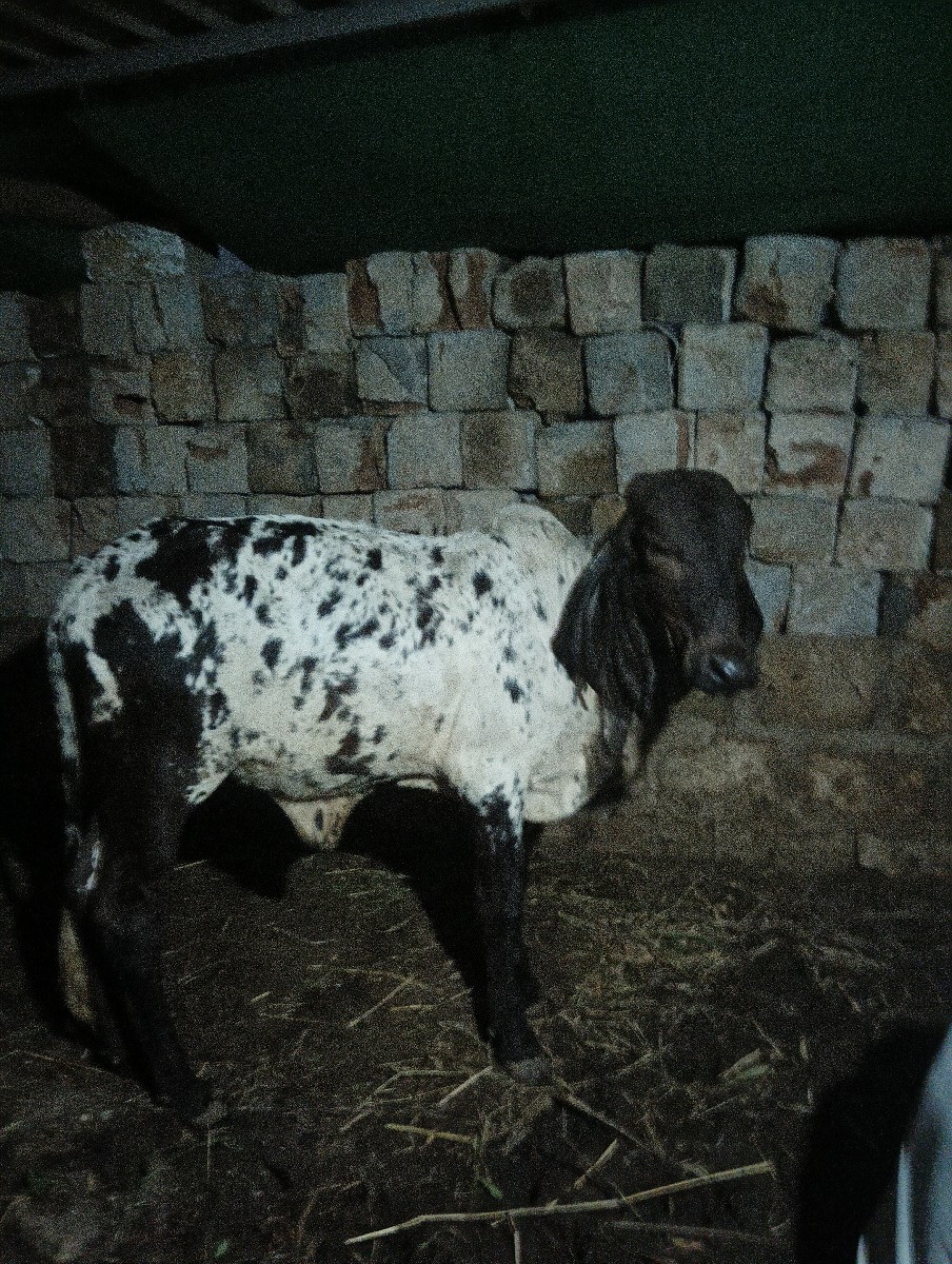 Post Image 2
