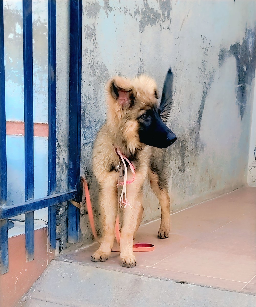 Post Image 2