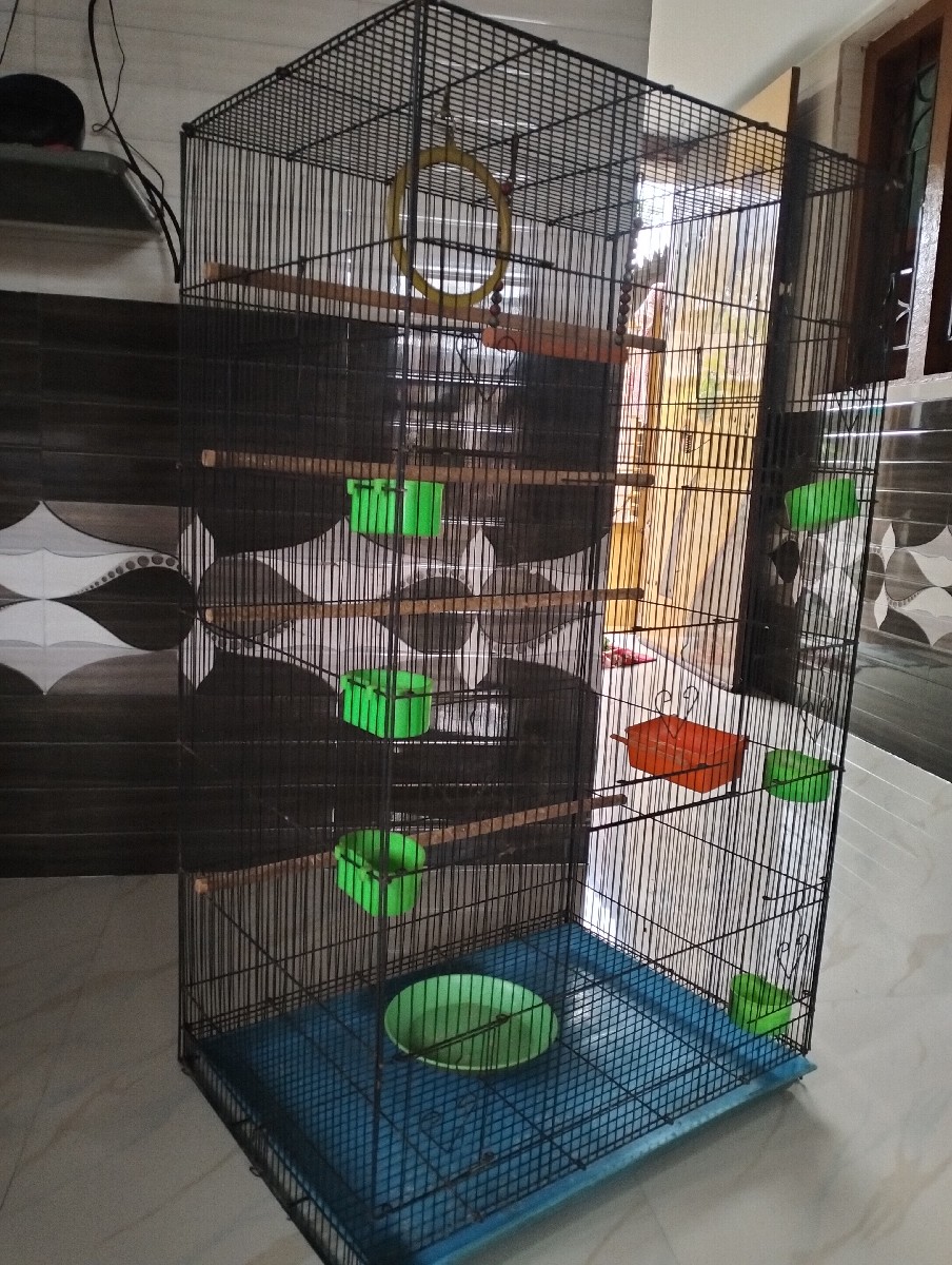 Post Image 3