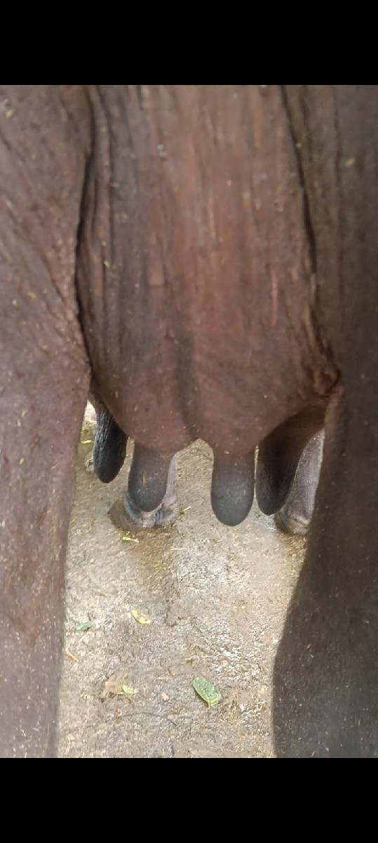 Post Image 4