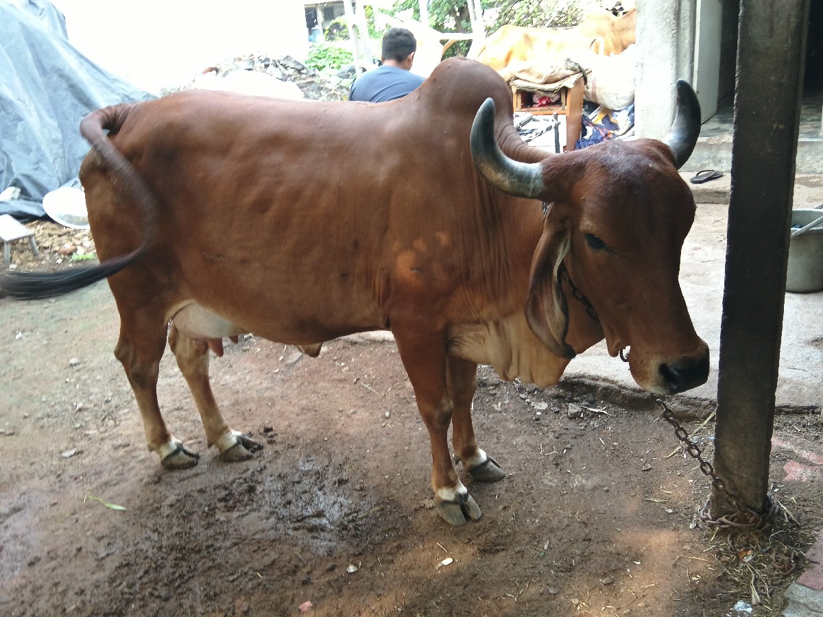 Post Image 2